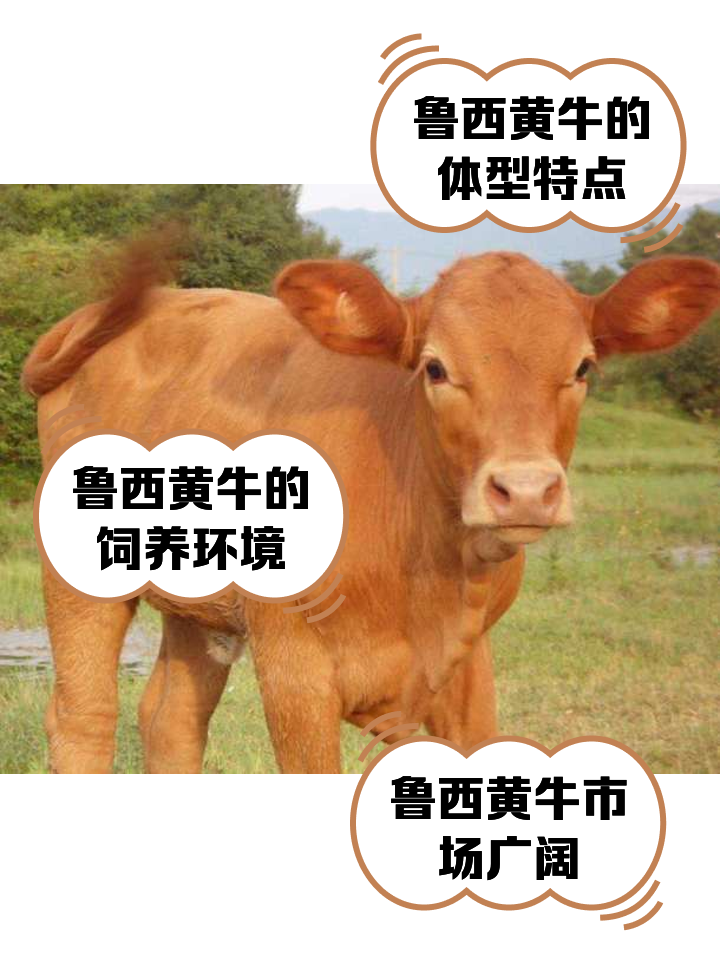 荆门最新医保取现黄牛方法分析(最方便真实的荆门医保取现黄牛怎么取方法)